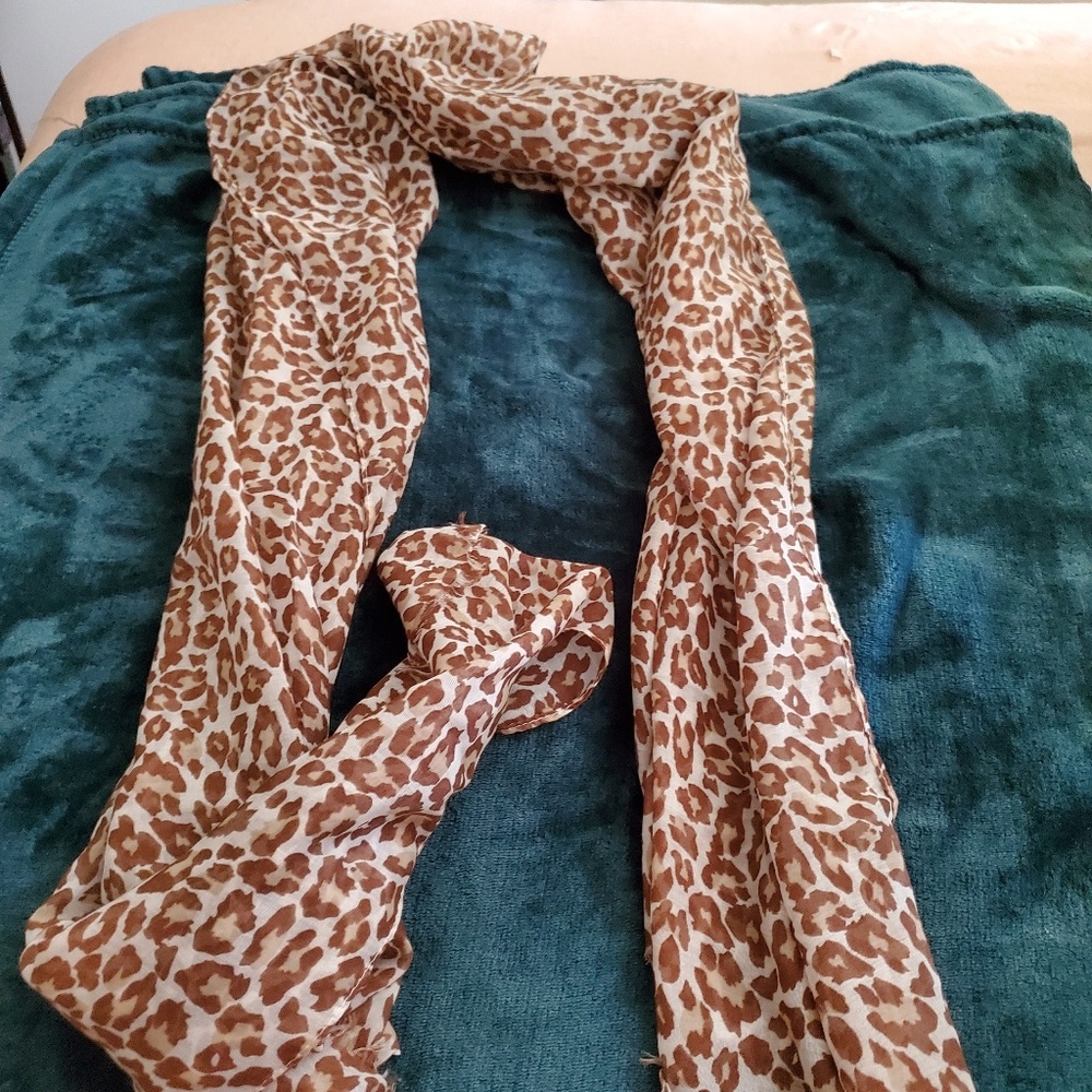 Scarves - Picture 5 of 6